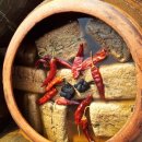 백련농장 이미지