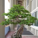 여수시청(시청앞) 이미지