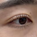 신기 1 신기여자경로당 | [대구] 신기역 속눈썹펌 '뉴리브' 지속력 좋은 뉴리브펌 후기