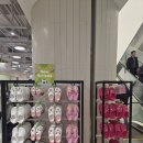 주시꾸뜨르, 피넛츠 런칭 VM 이미지