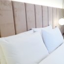 시그니처 덴바스타호텔(문현점) 이미지