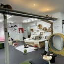 동물보육원 고양이 후원 카페 이미지