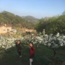 수피아민박 이미지