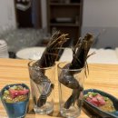 엔참치
