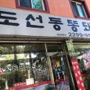 도선동똥돼지 이미지