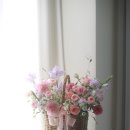 미즈산후조리원 이미지