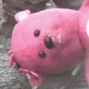 천훈진농장 이미지