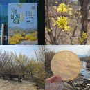 구례 버스킹 공연 | 3월 봄축제 추천 구례 산수유 꽃축제 후기