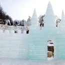 들꽃사랑 이미지