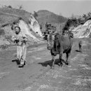 황소와농부 이미지