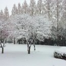 풍경약국 이미지