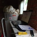 신창면 서부북로 이미지