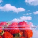 행복한 딸기농장 이미지