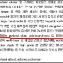 저스트벳 동물병원 이미지