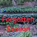 Forgotten season 이미지