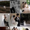 크로아 | W2 대구 웨딩 촬영 스튜디오 계약 후기 | 크로아하우스, 무색한 경주야외스냅 비교