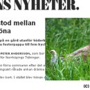 행복오리농장 이미지