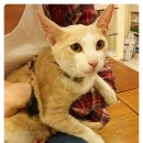 365 신원당 동물병원 이미지