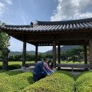 보성백록다원 | 이색 봄나들이 추천! 국가인증 스타팜으로 놀러오세요