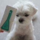 자연은동물병원 이미지