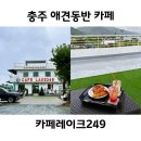 충주 애견동반 카페 추천 루프탑 그림같은 호수뷰 카페레이크249