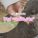 이웃집 | 힐링 1000% 대구 근교 체험형 동물원, 경산 “이웃집 수달” 방문 후기