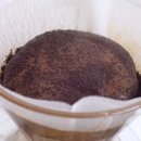 파라이소 이미지