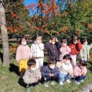 알곡어린이집 이미지