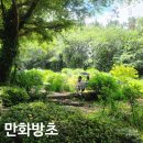 숲속 - 2449 | 숲속
