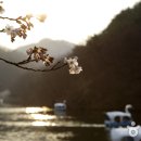 금당사 화장실 이미지