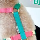 포리하우스 이미지