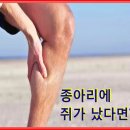 ★ 종아리에 쥐가 났다면? ★ 이미지