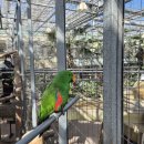 경주버드파크 | 🦜[경주]아이와 가기 좋은 실내 체험 명소 l 경주 버드파크 방문 후기