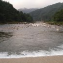 산새소리물새소리 이미지