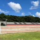 게르메스 이미지