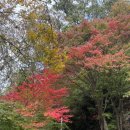 의재미술관 이미지