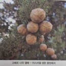 고페르 - 화성시 동탄순환대로12길 8 | 고페르