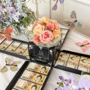 특별한돈 이미지