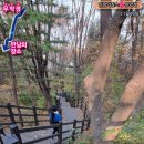 무악정 화장실 이미지