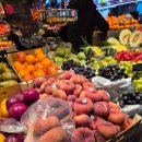 세영팰리스 | 🇪🇸 4박5일 바르셀로나 여행, 맛집 추천!