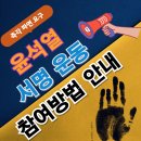 윤석열 파면촉구 범국민대회 대한민국 민주주의를 지킵시다 이미지