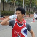 중마애견 이미지