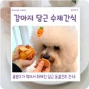 꽃분이 | 강아지 수제간식 추천, 당근 동결건조 간식 후기 (꽃분이 간식)