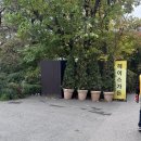 신흥안길 40-15 | 서울 강남 양재 야외결혼식 스몰웨딩 하우스웨딩 헤이스가든 하객후기 (셔틀버스, 음식)