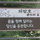 춘천 의암호 나들 길 (walking trails) 이미지