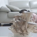 율이농장 이미지