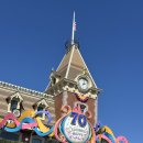 (주)오토피아 | 랜드 미국디즈니랜드la Disneylandpark 디즈니랜드후기 디즈니랜드파크호퍼티켓 디즈니랜드라이트닝레인...