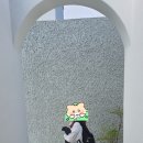 수리산보 이미지