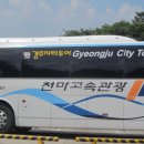 경주시티투어천마관광 이미지