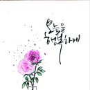 감성을 쓰다 캘리그라피 이미지